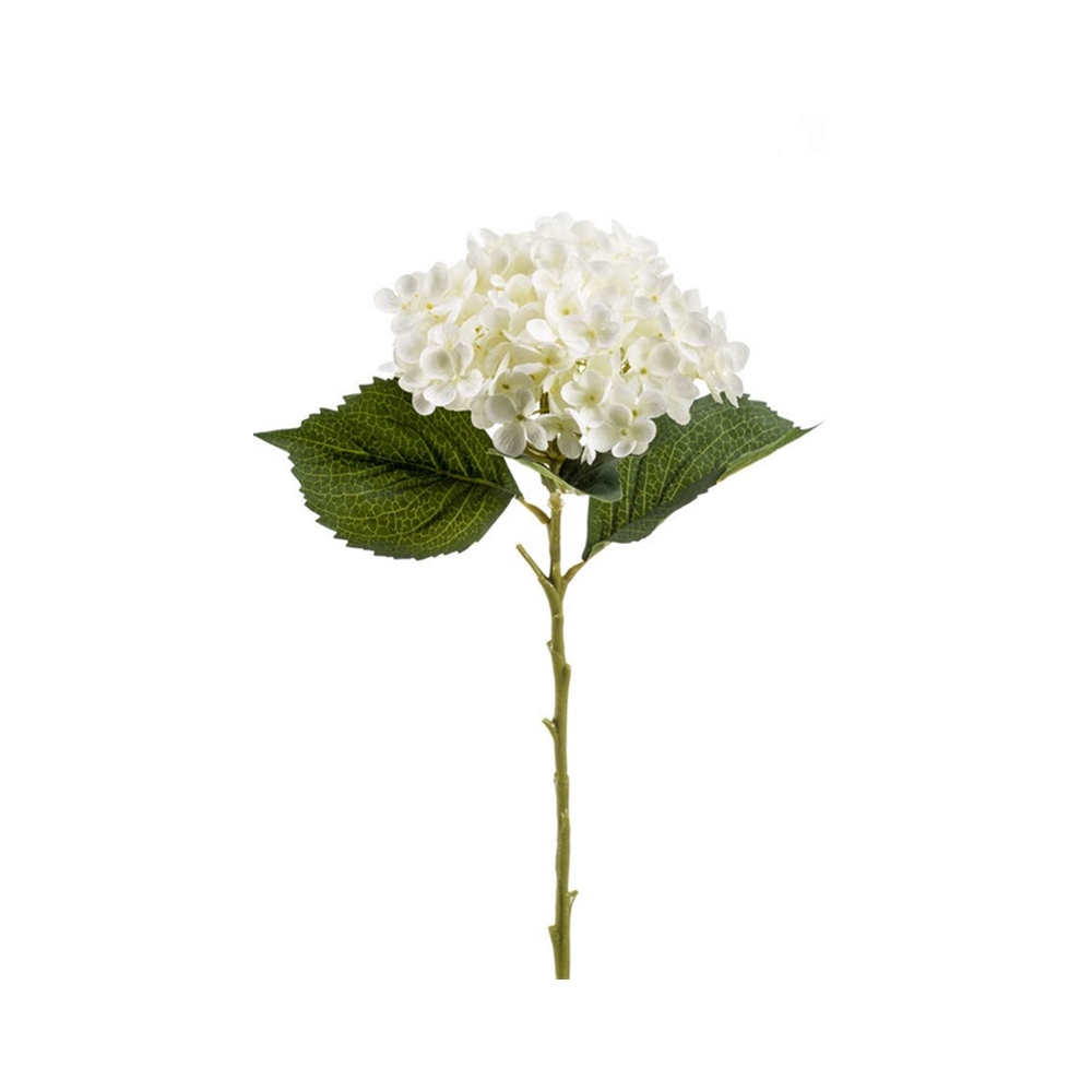 HYDRANGEA ANNABELLE FLOWER STEM CREAM 52CM - Pergamos